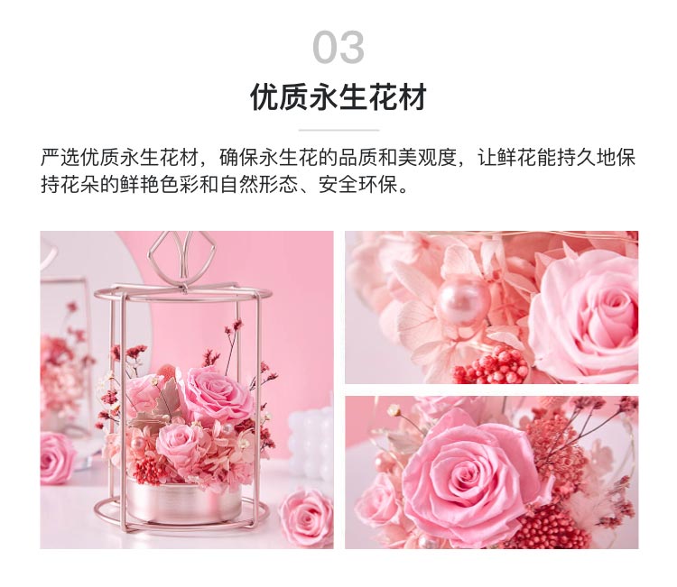 厄瓜多尔进口花材