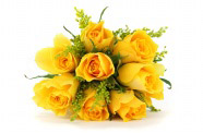 黄玫瑰花图片